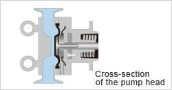 Cross-section of the pump head